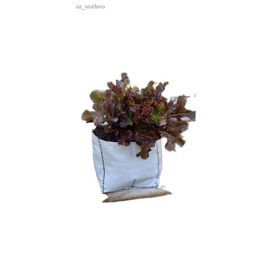 ❂ถุงเพาะปลูก​ ขนาด​ 5"x8" ไม่เย็บขอบปาก​  ปลูกสลัด​ หรือพืชที่อายุสั้นๆ​ ถุงเพาะชำ​ ถุงปลูกผัก​