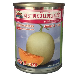 แคนตาลูป สวีท ดี-159 20g ตะวันต้นกล้า