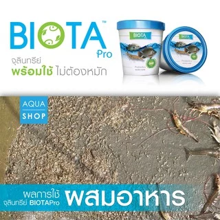 จุลินทรีย์ BIOTA Pro ผสมอาหาร กุ้ง/ปลากินดี แข็งแรง โตไว กำไรงาม