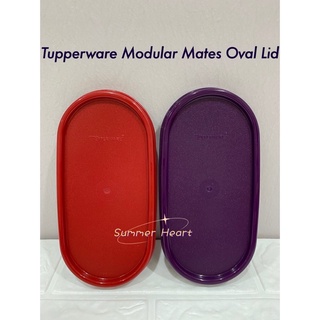 TUPPERWARE ทัปเปอร์แวร์ โมดูลาร์ วัสดุซีลวงรี / ฝาปิด / ปก (1 ชิ้น) สีม่วงเข้ม / สีแดงเข้ม