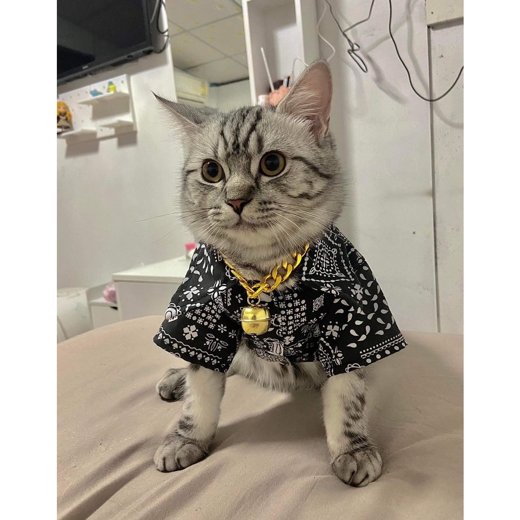 เสื้อเชิ้ต สุนัขไซส์ใหญ่ พร้อมส่ง ทรงหลวมใส่สบาย แฟชั้นฤดูร้อน เนื้อผ้าบางใส่สบายเบอร์7-11 - รูปที่ 2