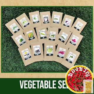 JP Backyard | Vegetable Seeds - 1 pack per seed儿童/生菜/苹果/花园/男装/seeds/上衣/文胸/通心菜/内裤/ VZGG