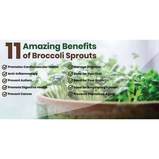 ผงต้นอ่อนบร็อคโคลี่ เข้มข้นกว่าบร็อคโคลี่สด Organic Broccoli Sprout Powder - Feaga Life 200 กรัม