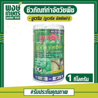 บูเวริน (Beauveria bassiana) 1 กิโลกรัม บูเวเรีย บัสเซียน่า ยาเชื้อชีวภัณฑ์ สารชีวภาพ เชื้อแบคทีเรีย สารเชื้อจุลินทรีย์