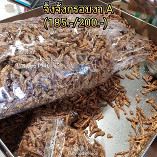 ปลาจิ้งจังกรอบ A (500g)