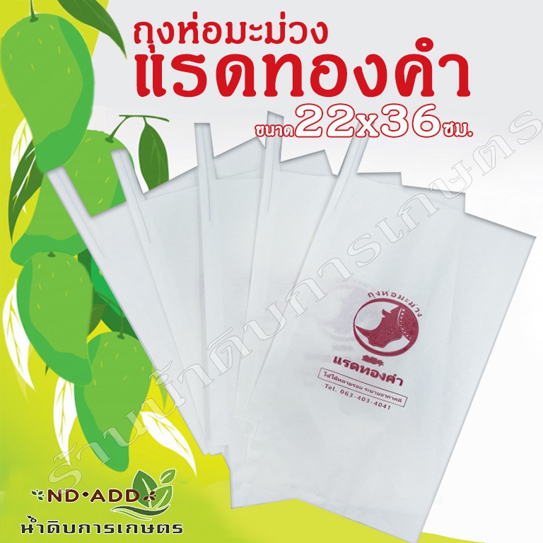 ถุงห่อมะม่วงห่อผลไม้ถุงสีขาวขนาด 22x36 ซม.จำนวน100ใบถูกที่สุด