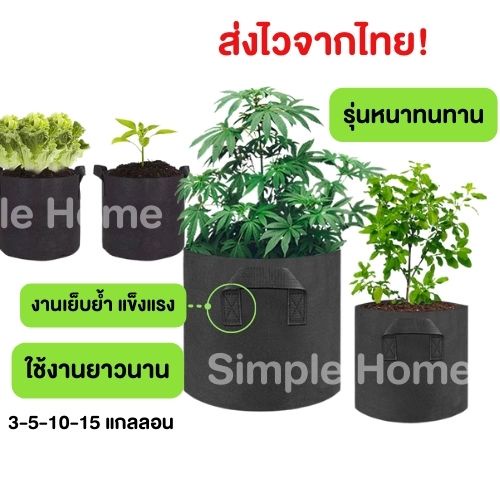 Non-woven fabric Grow bag กระถางผ้า สีดำ กระถางผ้าปลูกต้นไม้ ถุงปลูกต้นไม้ กระถางต้นไม้