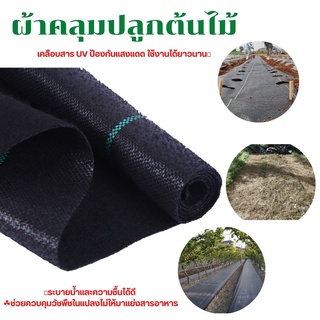 ผ้าคลุมหญ้า 1×30 เมตร(ผสมสารป้องกัน UV)  ผ้าคลุมดิน ผ้าคลุมวัชพืช  พลาสติกคลุมดิน ผ้าพลาสติกคลุมวัชพืช