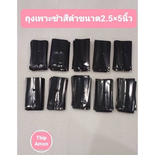 ถุงเพาะชำสีดำขนาด 2.5×5 นิ้ว จำนวน 100 ใบ