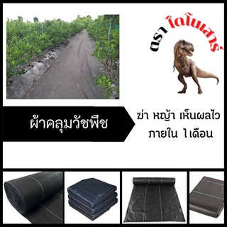 พลาสติกคลุมวัชพืช ยกม้วน100เมตร ผสมUV ฆ่าหญ้า เห็นผลไวภายใน1เดือน อยุ่ทนกว่า3-5ปี ผ้าคลุมหญ้า แผ่นคลุมดิน