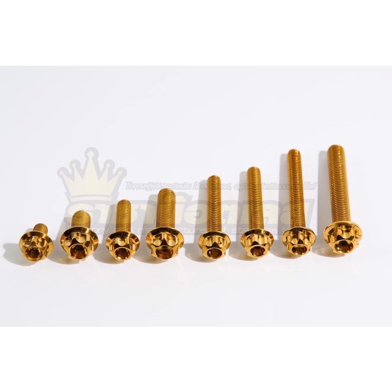 น๊อตหัวเฟือง สแตนเลส สีทอง ทุกไซส์ M4(6) M5(8) M6(10) M8(12) M10(14) ราชาน๊อต เกรียวมิล 1.25