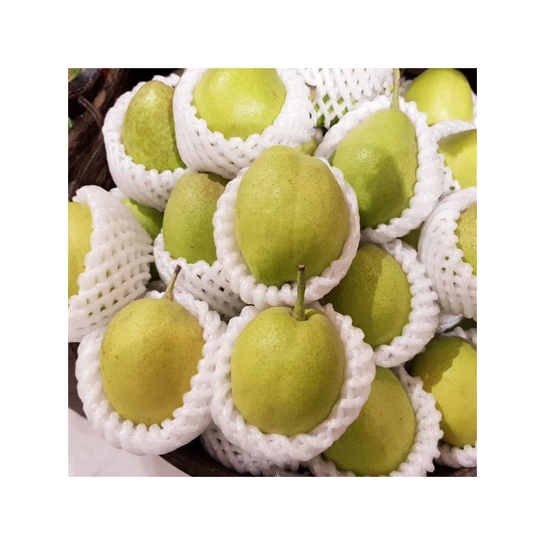 begoniatop1สาลี่หอม Fragrant Pear (1ลูก) (CHN) นำเข้า ~หอม หวาน อร่อย ! ผลไม้ต่างประเทศ ผลไม้พรีเมี่