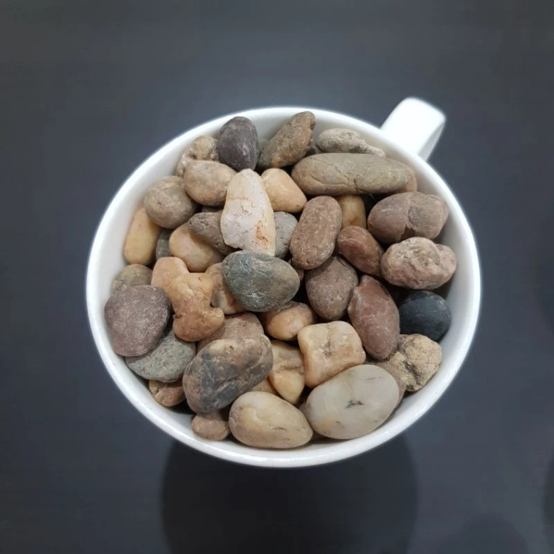 หินกรวด แม่น้ำ สีน้ำตาล ขนาด 1kg มีให้เลือก7ขนาด หินโรยหน้ากระถาง หินตู้ปลา thumbnail 8