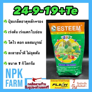 24-9-19+TE ปุ๋ยเกล็ด ขนาด 1 กิโลกรัม เอสทีม นกเงือก ฉีดพ่นทางใย ระบบน้ำหยด บำรุงใบ เร่งแตกใบอ่อน ใบใหญ่ ใบหนา เร่งแตกราก