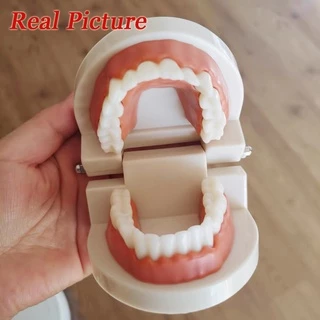 ของเล่นฟันปลอมจําลอง เพื่อการเรียนรู้ สําหรับเด็กวัยหัดเดิน