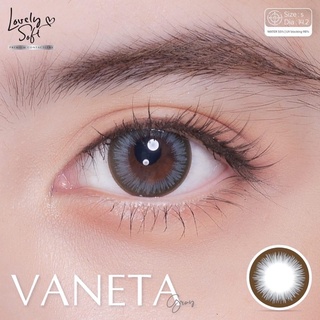 Vaneta gray พร้อมส่งสายตาปกติและค่าสายตา (Lovelysoft)