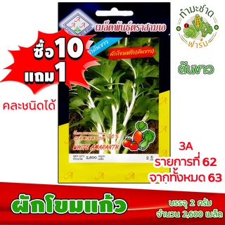 (ซื้อ10แถม1) เมล็ดพันธุ์ ผักโขม แก้ว white amaranth ประมาณ 2,600เมล็ด 3A สามเอ ผักสวนครัว เมล็ดพันธุ์พืช เมล็ดผัก