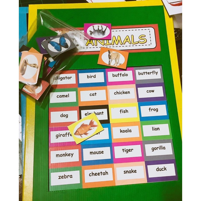 สื่อการสอนภาษาอังกฤษ Animal matching board game