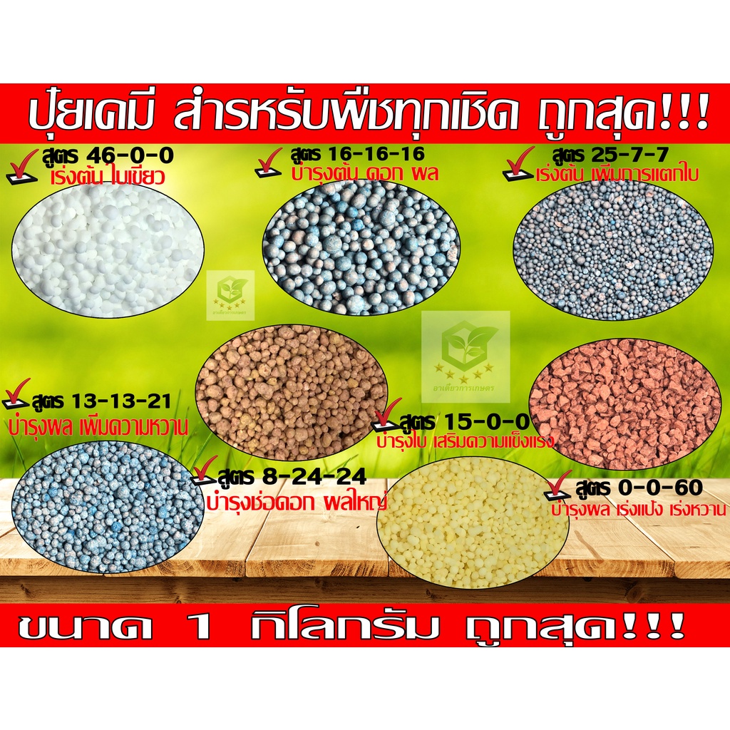 ถูกสุด! ปุ๋ยเคมี 1กิโลกรัม สูตร 46-0-0, 16-16-16 , 25-7-7, 8-24-24 ,  13-13-21 , 15-0-0 , 0-0-60 | Shopee Thailand