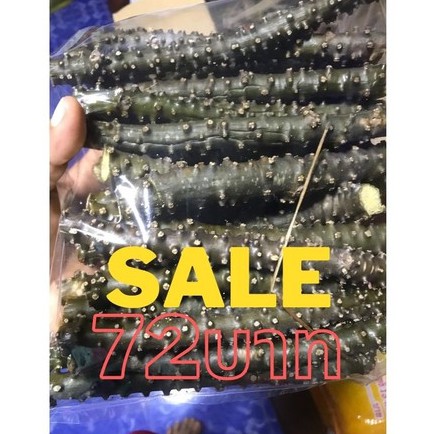 บอระเพ็ดสด กิโลกรัมละ72บาท ตัดสดตามออเดอร์Tinospora crispa