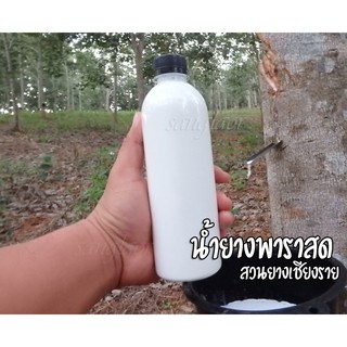 น้ำยางพาราสด 500 ml.น้ำยางพาราสดไม่ผ่านกระบวนการเก็บ กรีดใหม่วันต่อวันทุกขวด เก็บได้นานถึง1ปี พร้อมส่ง