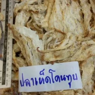 ปลาเห็ดโคนทุบจืดเพื่อสุขภาพ