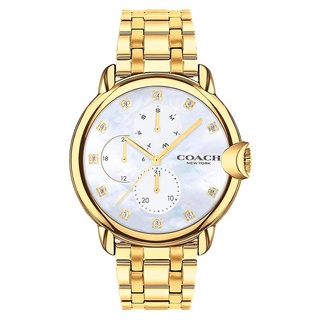 Coach Arden CO14503681 นาฬิกาสำหรับผู้หญิง