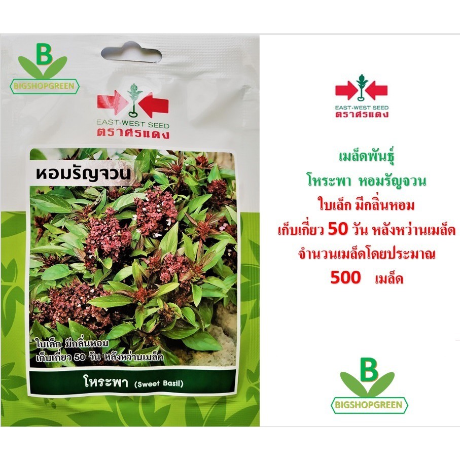 5 ฟรี 1 คละได้ เมล็ดพันธุ์ โหระพา หอมรัญจวน ตรา ศรแดง เมล็ดผัก เมล็ดพันธุ์พืช เมล็ดพืช เมล็ดพันธุ์ผัก