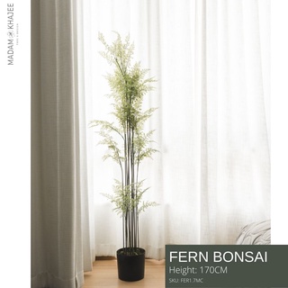 Bonsai Fern 170CM - ต้นเฟิร์นบอนไซ ต้นไม้ประดิษฐ์ ต้นไม้ปลอม ต้นไม้ตกแต่งบ้าน Artificial Plant by Madam Khajee