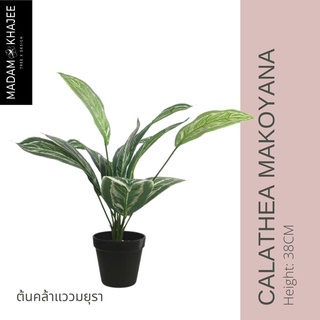 Calathea Makoyana ต้นคล้าแววมยุรา 40CM ต้นไม้ปลอมเกรดพรีเมี่ยม มาดามขจี ตกแต่งบ้าน  Premium Artificial Plant