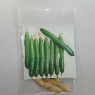 แตงกวาญี่ปุ่น🎯ถูกที่สุด 10บ.🎯เมล็ดพันธุ์แตงกวาญี่ปุ่น10 เมล็ด🎈ปลูกง่าย🌱ผลดก☘️รสชาติดี