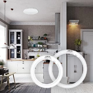 LAMPTAN หลอดนีออนกลม Circular Fluorescent 32W DL