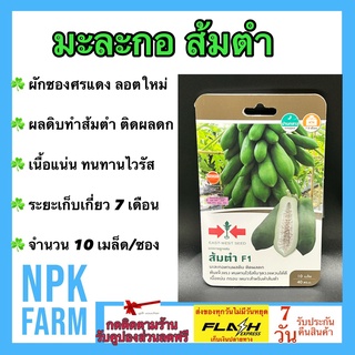 ผักซอง ศรแดง มะละกอ ส้มตำ จำนวน 10 เมล็ด เมล็ดพันธุ์ ลอตใหม่ ติดผลดก 150-200 ลูกต่อต้น เนื้อหวาน กรอบ อร่อย ทนทานไวรัส