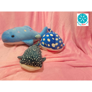 ตุ๊กตาสัตว์ทะเล เต่า ปลาสิงโต ฉลามวาฬ และ อื่นๆ ที่พบเจอได้ในทะเล - Sea Doll