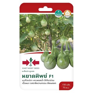 มะเขือเปราะ F1 หยาดทิพย์ ศรแดง GREEN BRINJAL SEED EAST-WEST SEED YHADTHIP F1