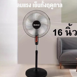 Moidnei พัดลม 16 นิ้ว 5ใบพัด (สีดำ) พัดลมตั้งพื้น  พัดลมตั้งโต๊ะ พัดลมตั้งโต้ะ พัดลมตั้งพื้่น พัดลมระบายอากาศ