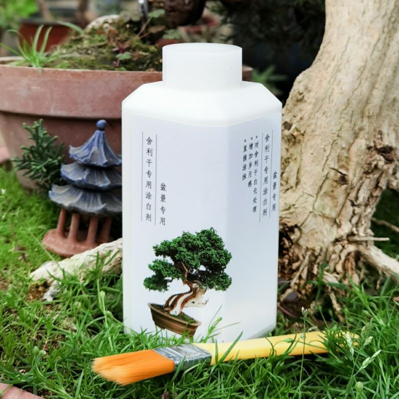 [พร้อมส่ง🇹🇭] น้ำยาทาซากไม้ น้ำยาทาซากต้นไม้ น้ำยาทาซากบอนไซ  (Lime Sulphur) พร้อมแปรง ทาแล้วขาวเลย อ