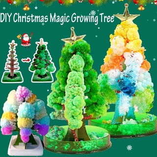 🎄พร้อมส่ง🎄DIY Christmas Magic Growing Tree ขาตั้งกระดาษต้นคริสต์มาส เด็กของเล่นทำมือ ของขวัญคริสต์มาส ของตกแต่งบ้าน