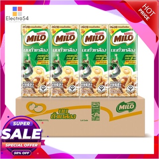 ไมโล นมถั่วเหลืองUHT 180 มล. x 48 กล่องนมพร้อมดื่มMilo Soy Milk UHT 180 ml x 48 Pcs