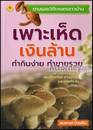 เพาะเห็ดเงินล้าน ทำกินง่าย ทำขายรวย