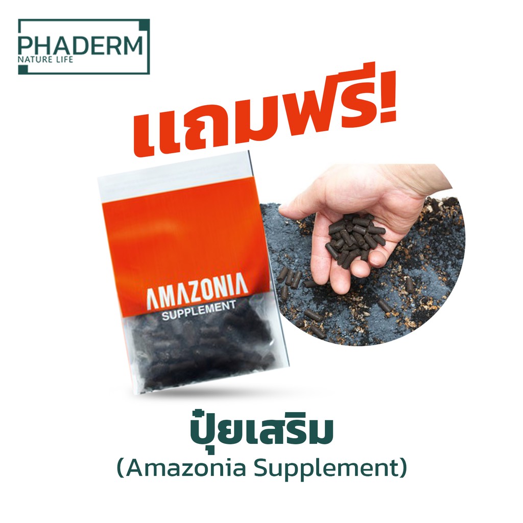 [ส่งด่วน] ดินปลูกไม้น้ำ ดิน ADA Amazonia Ver.2 3 ลิตร | Phaderm Nature Life - รูปที่ 3