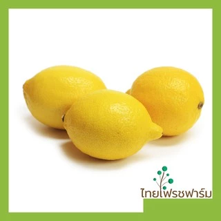 มะนาวเหลืองสดผิวสวยเหลืองเข้ม เลม่อน(Lemon)
