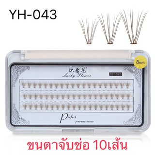 ขนตาจับช่อ 10เส้น 10D Perfect 0.7C YH-043 8,10,12mm