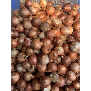 สินค้าพม่าหัวหอมแดงพม่าขนาด1000กรัม(1กิโล)ราคา40บาท