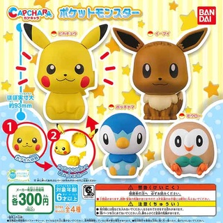 กาชาปองโปเกม่อน รุ่น 1 หัวโต หัวไข่ Gashapon Capchara Pokemon Vol.1 (พร้อมส่ง ของแท้ JP)