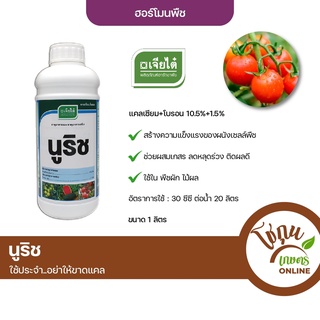 นูริช ขนาด 1 ลิตร เจียไต๋ ฮอร์โมนพืช แคลเซียม โบรอน ธาตุอาหารรอง ธาตุอาหารเสริม