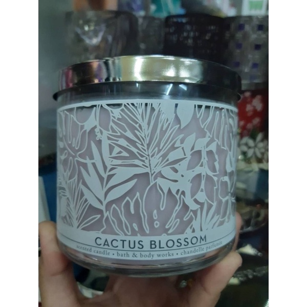 Bath & Body Works Cactus Blossom scented candle 411g. ของแท้