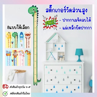 สติ๊กเกอร์วัดส่วนสูง แผ่นวัดส่วนสูงเด็ก ที่วัดส่วนสูง Wall Sticker for kids แถมฟรีปากกาเมจิคลบได้