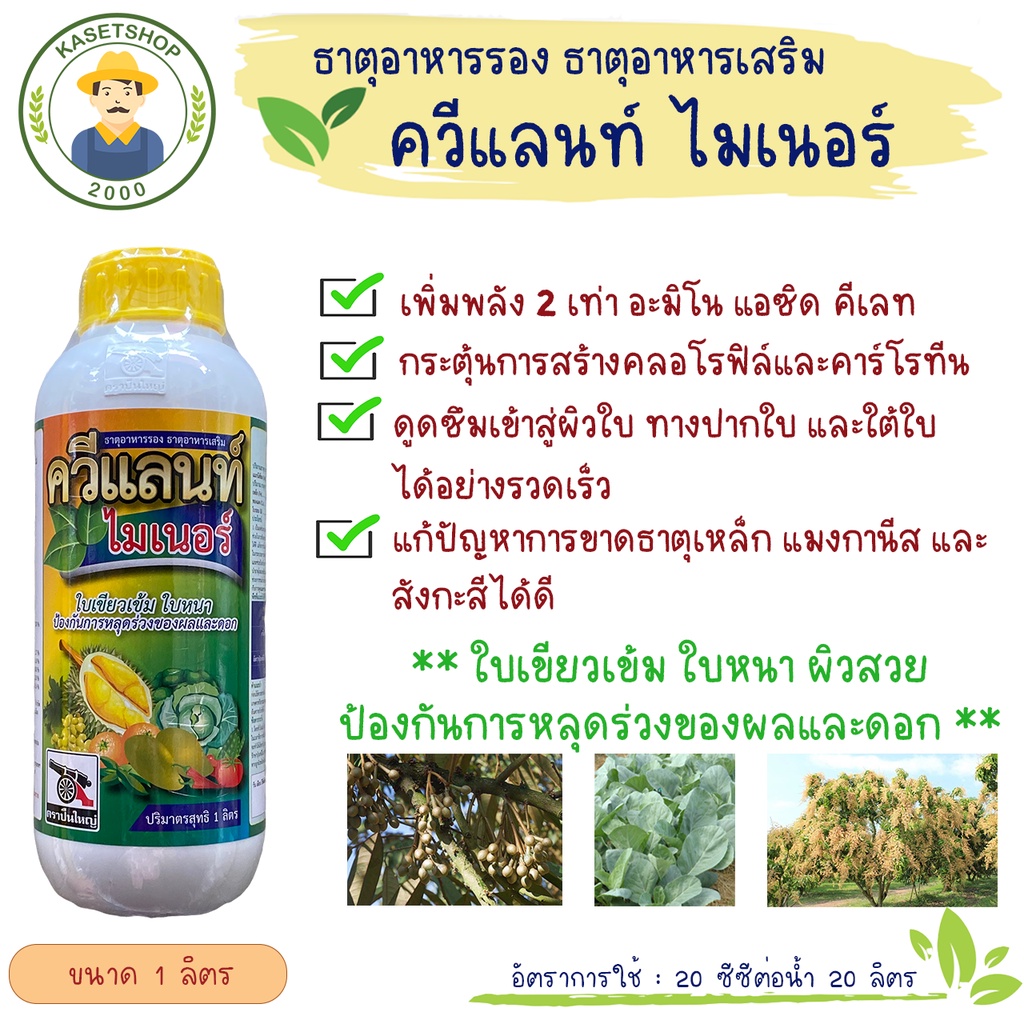 ควีแลนท์ ไมเนอร์ (อะมิโน+ธาตุอาหารรวม) 1 ลิตร#ทำใบทุเรียน#ต้นแข็งแรง#สะสมอาหาร#เพิ่มผลผลิต#ลดการหลุดร่วงของดอกและผลอ่อน