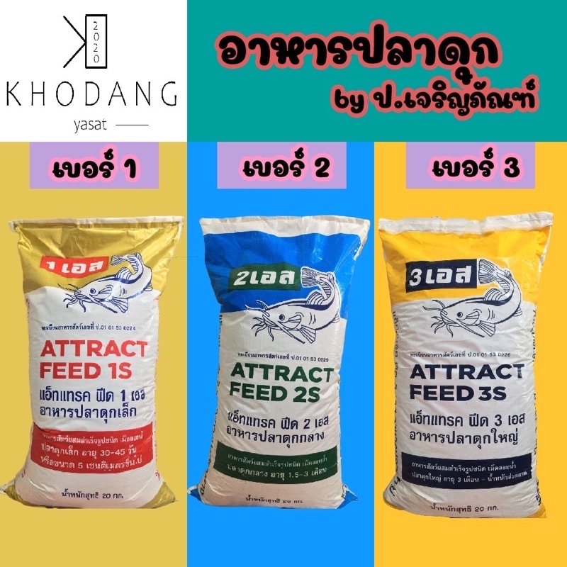 My Image 32